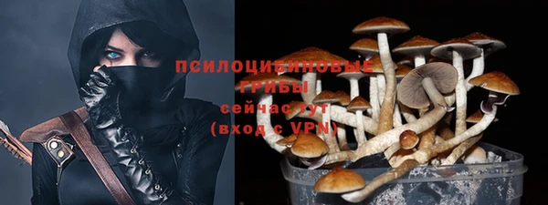 гашик Покровск