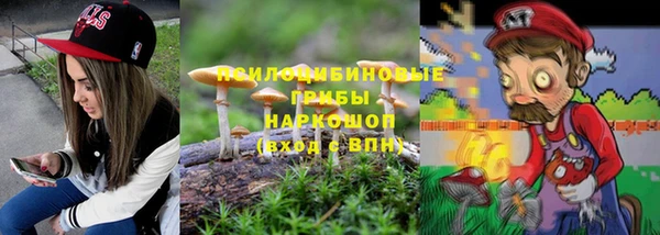гашик Володарск