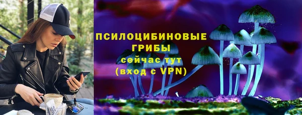 гашик Покровск