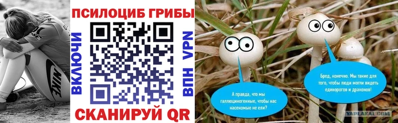 купить закладку  Ачинск  Псилоцибиновые грибы Psilocybine cubensis 